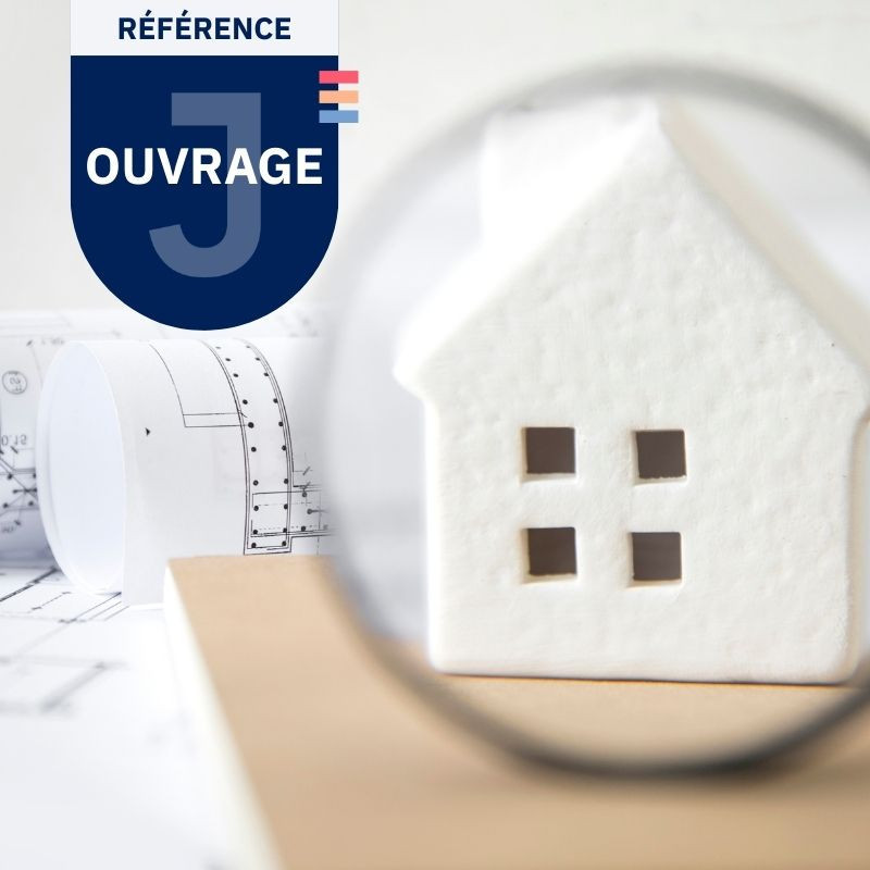 Les grandes statégies fondées sur le démembrement de Michel LEROY