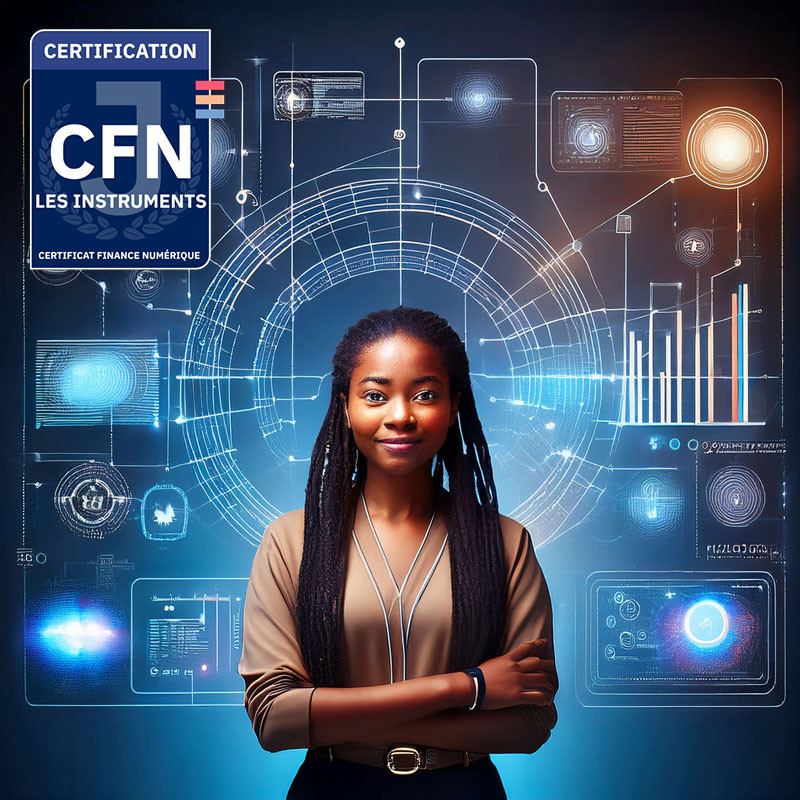 Bloc 1 Certificat finance numérique : Les instruments de la finance numérique