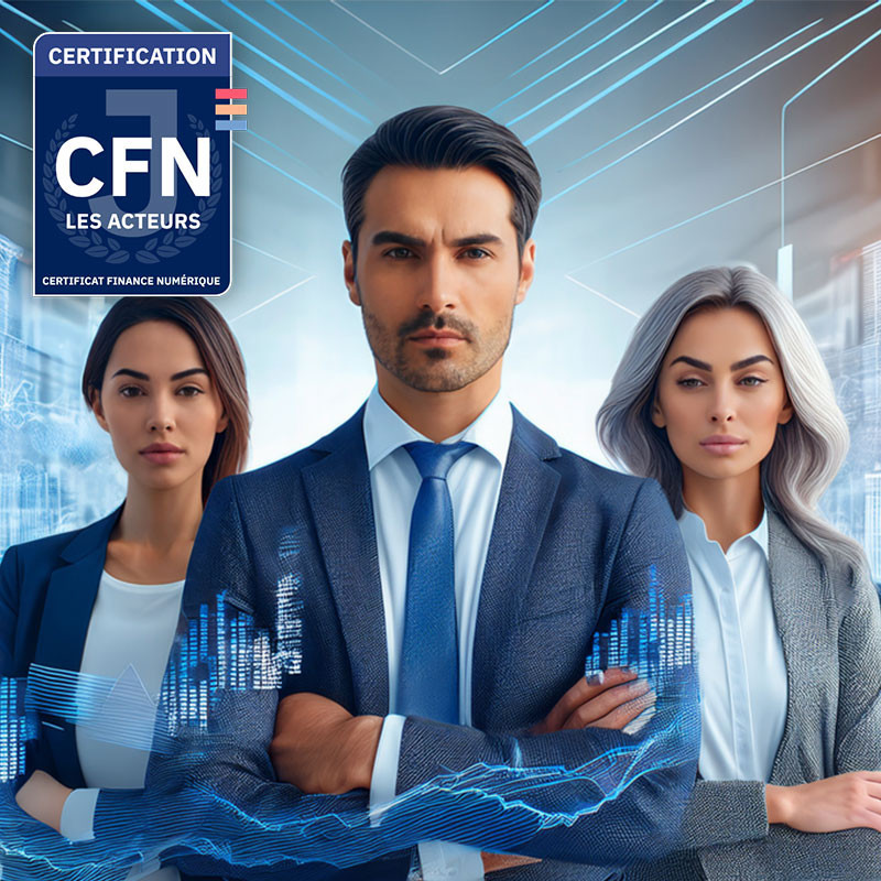 Bloc 2 Certificat finance numérique : Les acteurs de la finance numérique