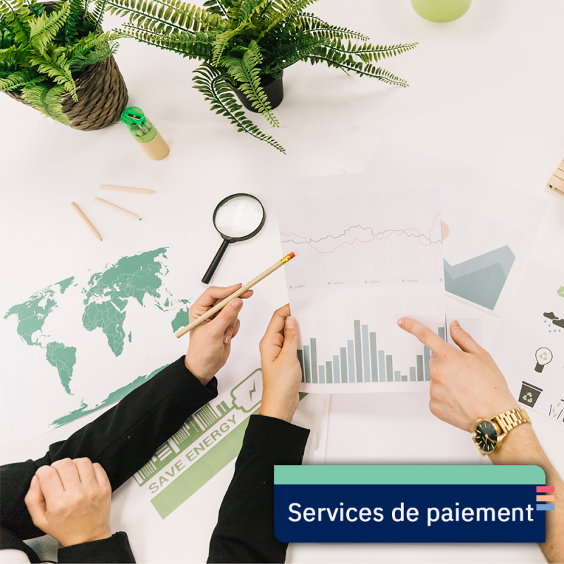 Cartographie des risques de corruption - Services de paiement