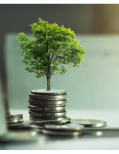 Finance durable : les...