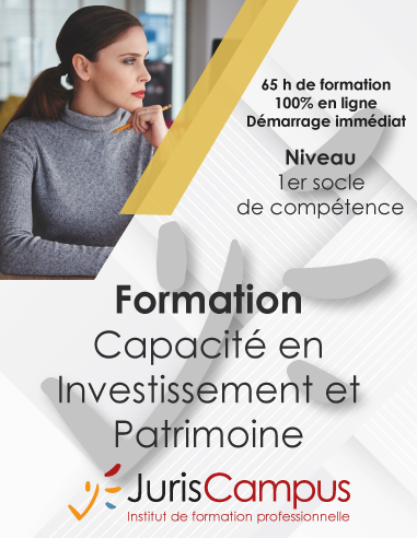 Capacité en Investissement et Patrimoine
