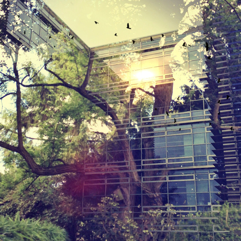 Comment calculer les plafonds de versements sur les plans d'épargnes retraite ?